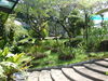 M_2010-07-29_031.JPG